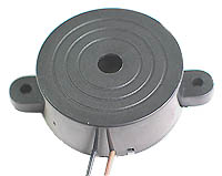 Large Piezo Transducer