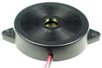 Piezo Transducer